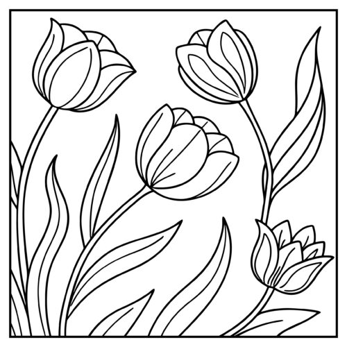 Tulips in garden arrangement