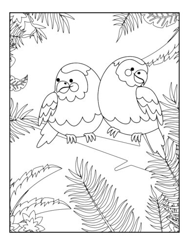 Two Parrots sitting close together
