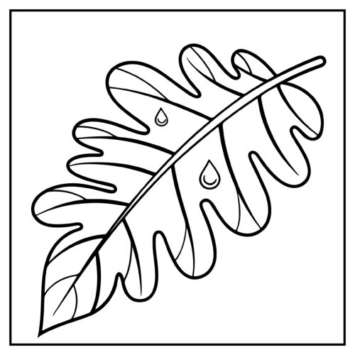 Two crossed oak leaves