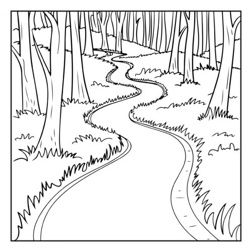 Winding forest path through tall trees