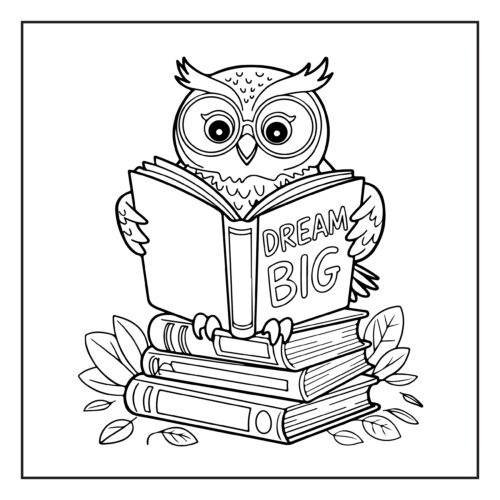 Wise owl reading dream book