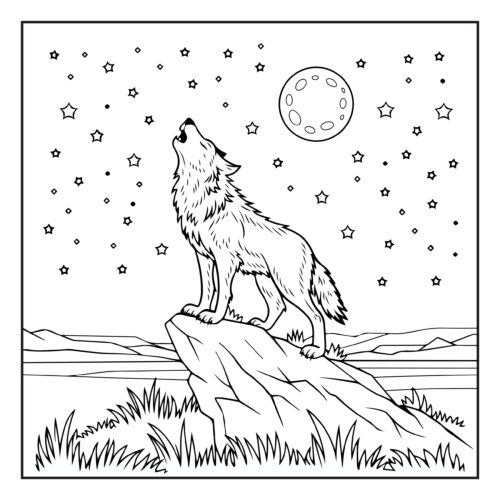 Wolf howling at full moon night