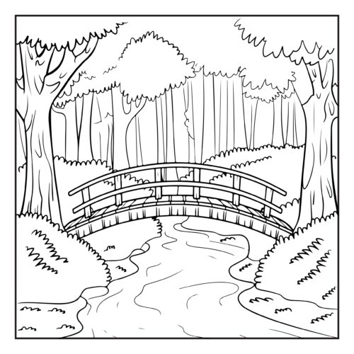 Wooden bridge crossing through peaceful forest