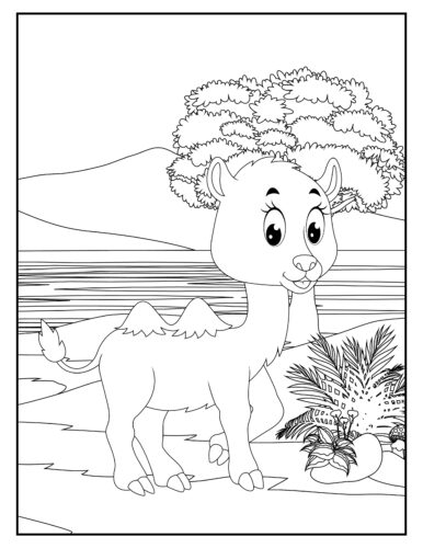 Young camel in desert landscape