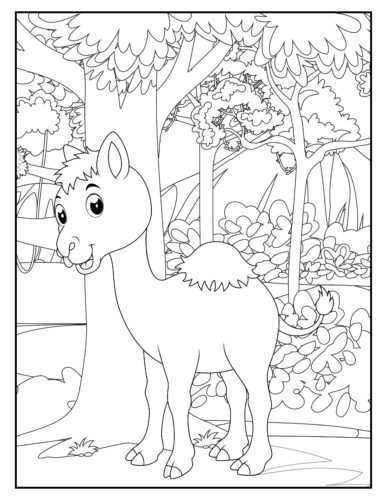 Young camel in forest setting