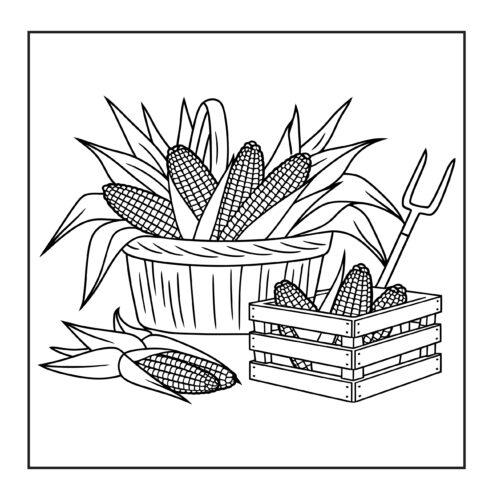corn harvest in wooden basket