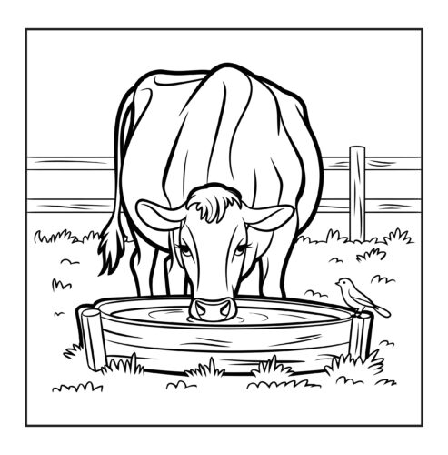 cow drinking from water trough