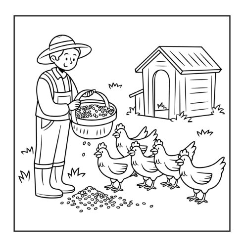 farmer feeding chickens from basket