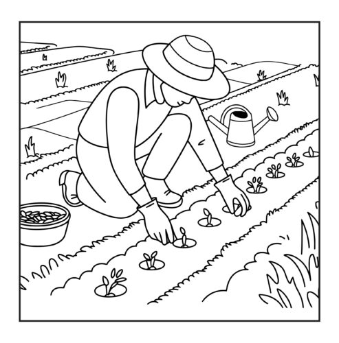 farmer planting garden seedlings carefully