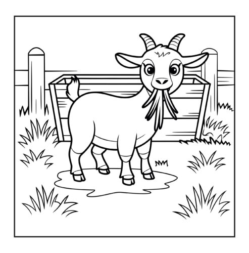 goat standing by wooden fence