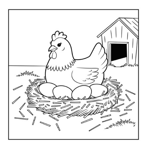 hen sitting on nest eggs