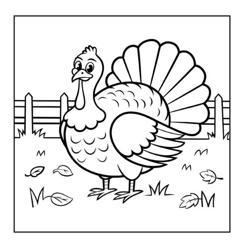 proud turkey with fanned tail