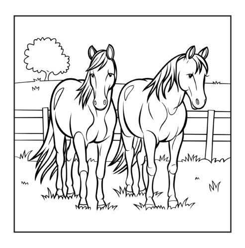 two horses in pasture field