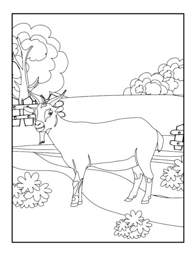 Goat in pastoral farm setting