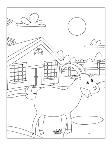 Goat in sunny farm yard