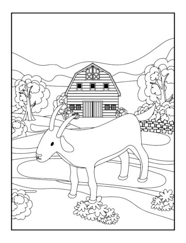 Goat walking on farm path