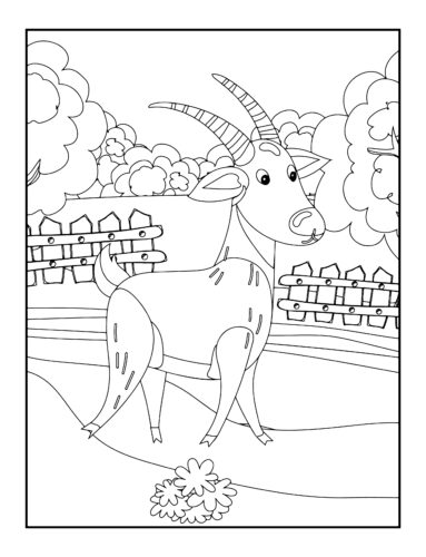 Goat with horns in pasture